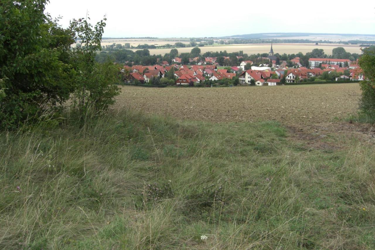Appartement Am Goldberg Goldbach  Exterior foto